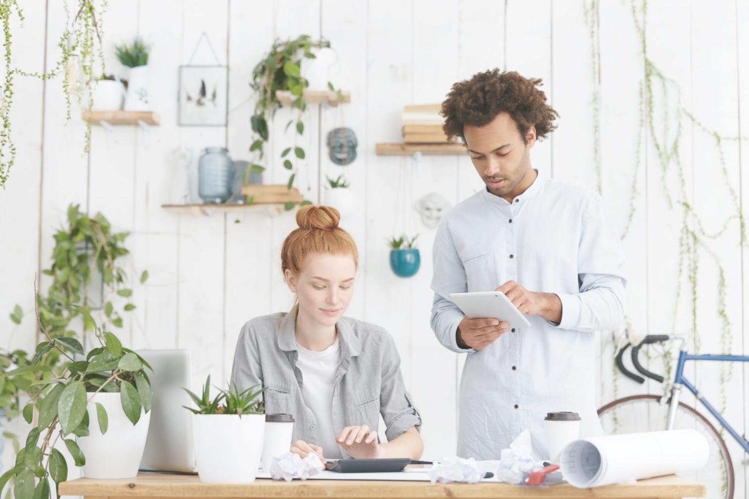 Espacio de trabajo profesional en nomadivorenta